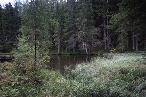 Salleitnerteich Oberhausberg 57582 2017-09-15.jpg