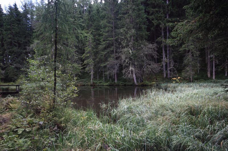 Datei:Salleitnerteich Oberhausberg 57582 2017-09-15.jpg