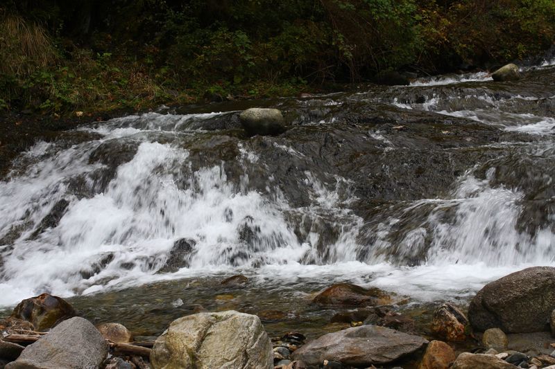 Datei:Teufelsschlucht Seewigtal 73449 2014-10-02.jpg