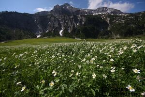 UrsprungIMG 6551.jpg