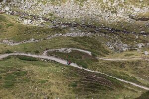 Zinkboden 55987 2017-08-22.jpg