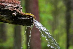 Gradenbach 2355 2011-05-26.jpg