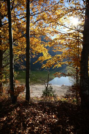 Grundlsee See 77886 2014-11-03.jpg