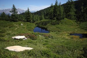 Gumpenkar 53174 2017-07-05.jpg