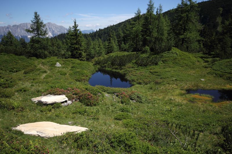 Datei:Gumpenkar 53174 2017-07-05.jpg