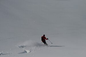 Im grubachkar 1706 2008-03-30.jpg