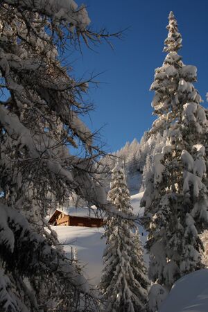 Obere Moseralm 50115 2007-11-28.jpg