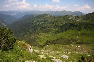 Plientensattel 957 13-08-05.jpg