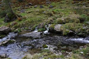 Säusenbach kleinsölk 73705 2014-10-03.jpg