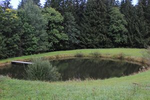 Salleitner Oberhausberg 57534 2017-09-15.jpg