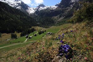 Sattental 45968 2017-05-19.jpg