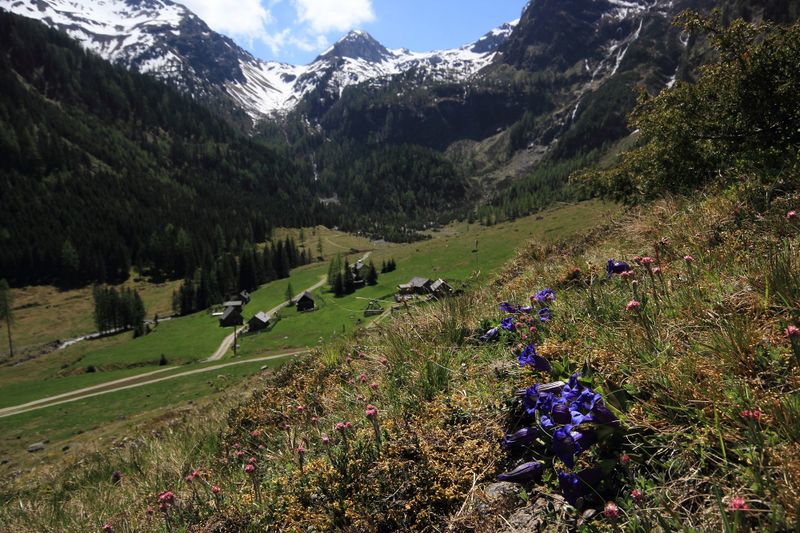 Datei:Sattental 45968 2017-05-19.jpg