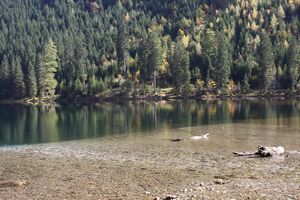 Schwarzensee kleinsölk 73557 2014-10-03.jpg