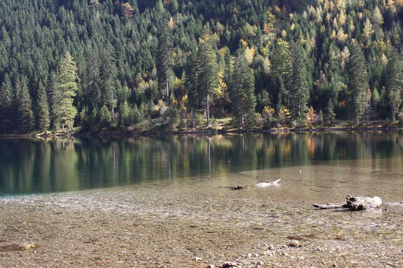 Datei:Schwarzensee kleinsölk 73557 2014-10-03.jpg