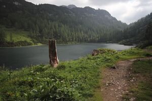 Steirersee südufer 51321 2017-06-24.jpg