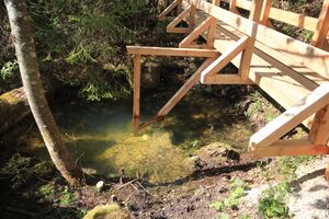 Strummern mühlreith 47203 2017-05-17.jpg