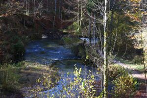 Toplitzbach 77674 2014-11-03.jpg