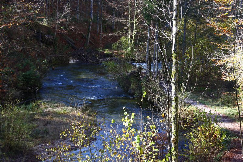 Datei:Toplitzbach 77674 2014-11-03.jpg