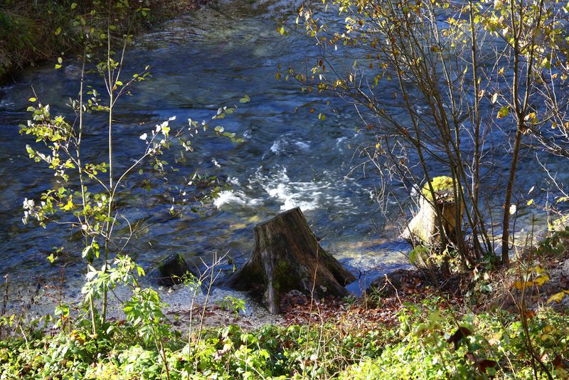 Datei:Toplitzbach 77675 2014-11-03.jpg