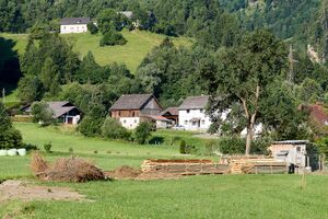 Vlg Bichlbauer Strechau-0051-2025-07-05.jpg