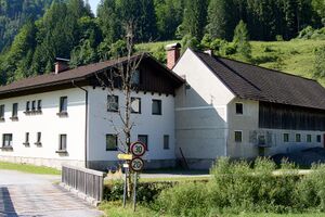 Vlg fuchsbauer unterlaussa 15-0284-2025-06-18.jpg