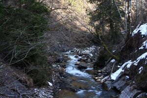 Walchental 43583 2014-02-26.jpg