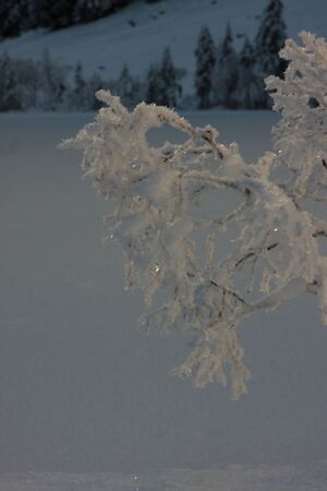 Bodensee 26576 2014-01-01.jpg