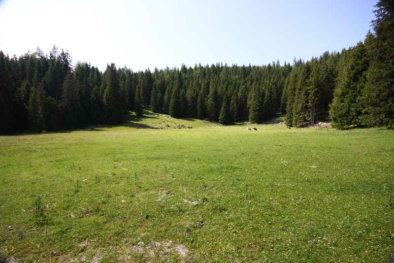 Datei:Eckangerl-viehbergalm 96911 2015-07-16.jpg