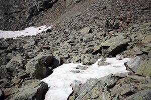 Farmrieseck 79096 2018-07-02.jpg