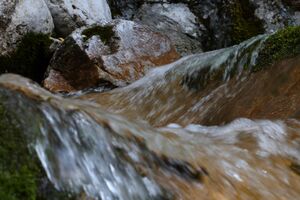 Feisterbach 1151 2008-04-17.jpg
