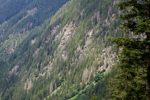 Fenzengwänd obertal-0087-2024-06-24.jpg