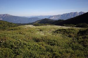 Gumpenkar 53234 2017-07-05.jpg