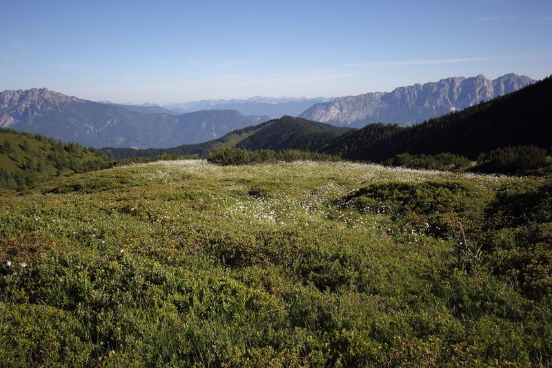 Datei:Gumpenkar 53234 2017-07-05.jpg