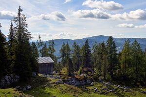 Handleralm Straßen-BA-0129-2023-09-17.jpg