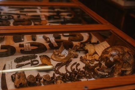 Heimatkundliche Sammlung Strick 09.jpg