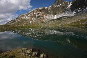 Knappensee westliche-39-2011-07-27.jpg