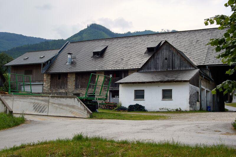 Datei:Krennmoar moos 33-1000-2023-06-16.jpg