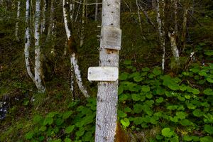 Kropfbrünnl gseis-2004-2021-05-26.jpg