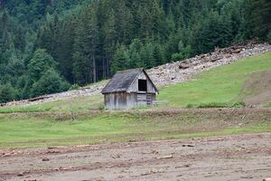 Mure Untertal-086-2026-06-30.jpg