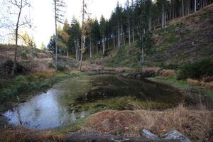 Schwarze lacke kaibling 88539 2018-11-03.jpg