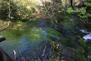 Strummern mühlreith 47224 2017-05-17.jpg