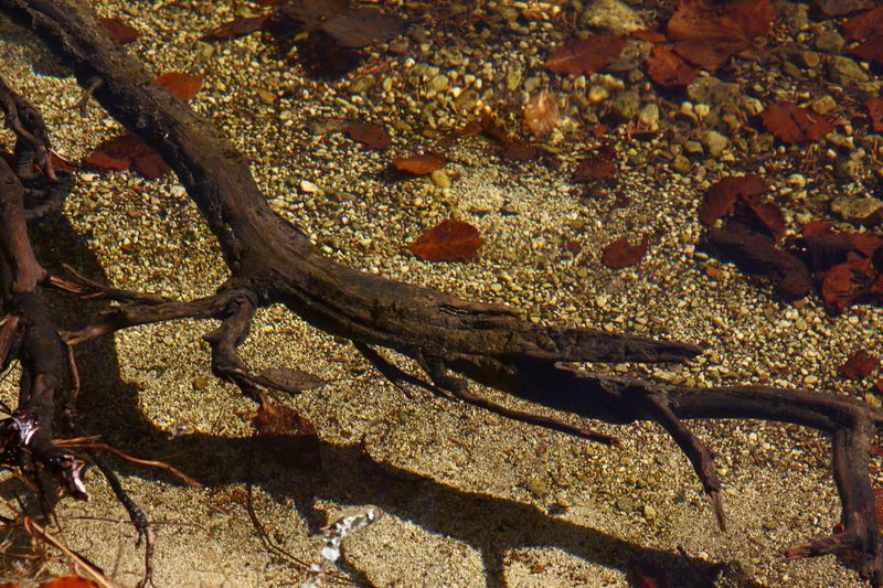 Datei:Toplitzsee 78100 2014-11-03.jpg