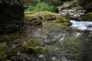 Untertalbach 23540 2008-06-26.jpg