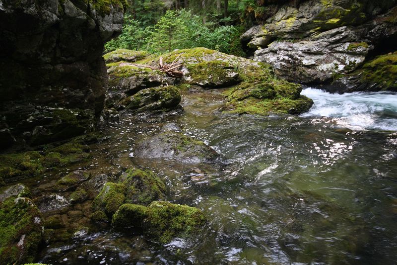 Datei:Untertalbach 23540 2008-06-26.jpg