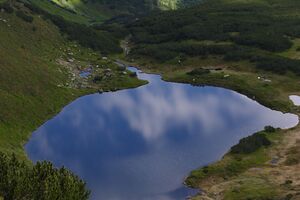 Waidhofsee wölzer tauern 65928 2014-07-01.jpg
