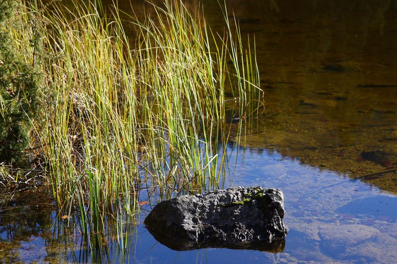 Datei:Ödensee 78065 2014-11-03.jpg