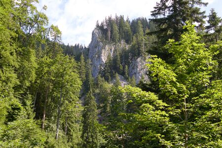 Bärtal Palfau-0657-2025-06-24.jpg