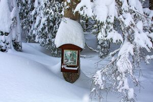 Bildstock 2 Eckangerl-1000-2012-01-08.jpg