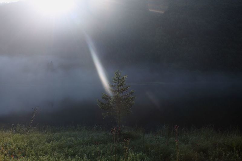 Datei:Bodensee 30253 2011-08-02.jpg