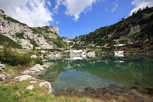 Dreibrüdersee 77419 2018-06-04.jpg